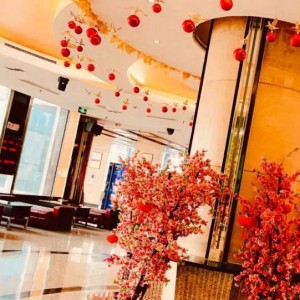 杭州中高档酒吧招聘包厢陪唱,是上白班还是上夜班