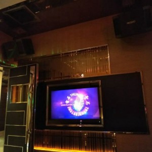 顶级保安招聘条件有哪些（顶尖安保人员招募标准概览）