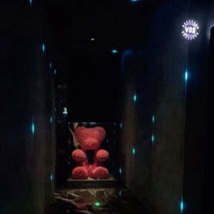 医院保安担架员招聘条件（医院安保人员及担架服务团队招聘标准）