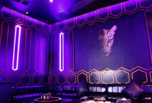 杭州余杭区中泰街道附近夜总会招聘酒水促销员,过年放假吗？