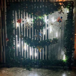 郑州文案编辑招聘（郑州创意文案编辑招募启事）