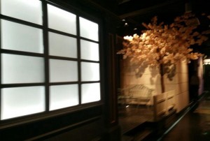 招女招聘的文案（诚邀女性加入：精彩职业机遇等你来探索）