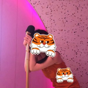 招聘兼职歌手文案简短（招聘兼职歌手启事：简短招募）