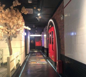 杭州临安区潜川镇附近夜总会招聘酒水促销员,(不抽台费)