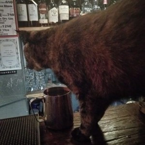 招聘合作团队文案（携手共创：招募精英合作伙伴文案）