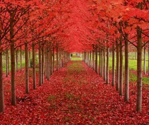 店里销售招聘文案（店内销售岗位招募启事）