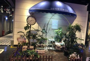 随缘招聘团队介绍文案（随性招募：探索我们的团队魅力）