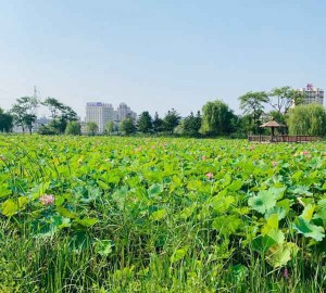 杭州翻台高的酒吧ktv招聘商务模特,夜场如何吸引客人选你？