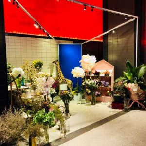 杭州上城区小营街道附近夜场招聘包厢气氛租,(不用订房任务)