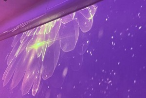 杭州小费高的酒吧ktv招聘包厢管家,00后做夜场的多吗_