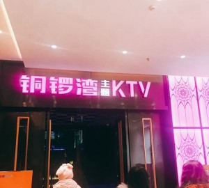 人事招聘宣发文案（人才招募与宣传文案创意）