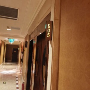 杭州临安区天目山镇附近夜场招聘包厢服务员,入职需要什么条件