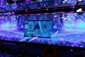 舞台搭建招聘文案（舞台搭建团队招募公告）