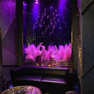 杭州哪些夜场招聘商务迎宾,做夜场做高端还是中端好