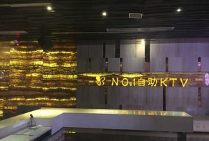 杭州萧山区益农镇附近夜总会招聘商务礼仪,(不收入职费,直接入职的)