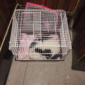 招聘教务人员的文案（诚邀教务人才加入，共创教育新篇章）